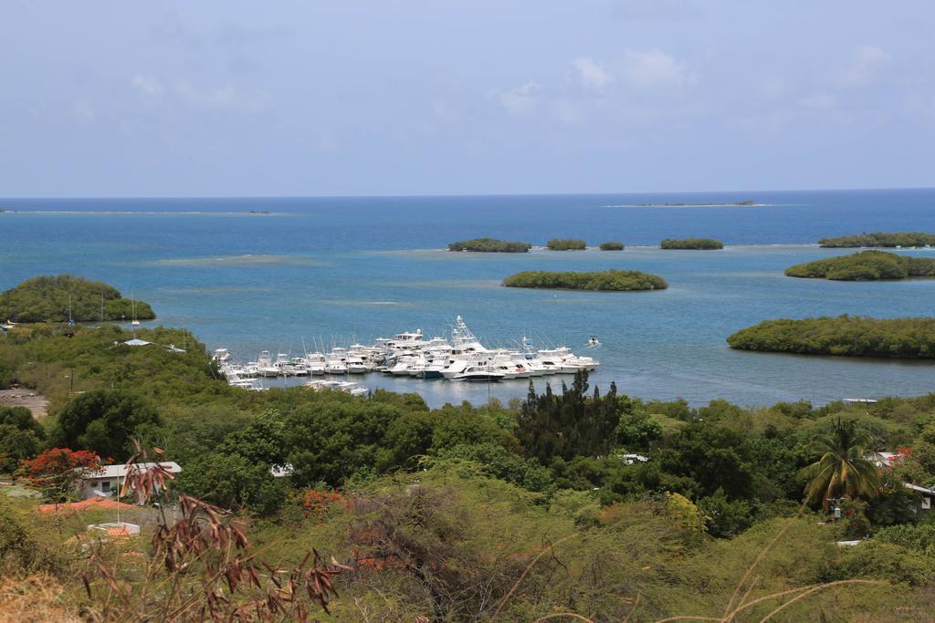 Parador Turtle Bay Inn La Parguera Luaran gambar